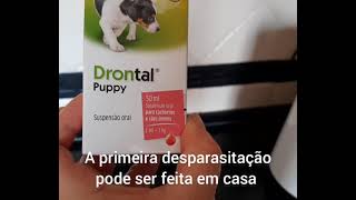 Desparasitar filhote de cachorro em 3 passos [upl. by Ahseinet]