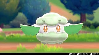 Cottonee In Camp  Pokemon Sword amp Shield [upl. by Pippas157]