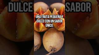 8 Frutas Mexicanas Sorprendentes y Nutritivas mexicolindo frutas frutasnutritivas [upl. by Sims650]