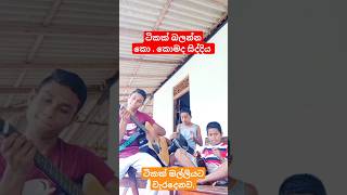 paduru paduru gas monaragala mal 🤟 පදුරු පදුරු ගස් මොනරාගල මල් coversong music [upl. by Wesla]