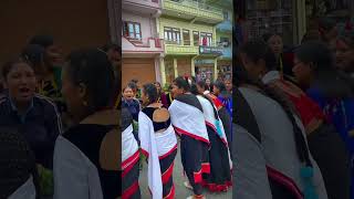 Gai jatra 2081  gai jatra shortvideo gaijatra tiktok [upl. by Ivad]