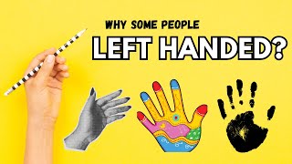 Why Are Some People Left Handed  Explained Simply [upl. by Dina]