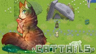 A Kitten Born for Wild Life 🐾 Cattails Mossies Journey  Episode 1 [upl. by Rahel]