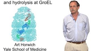 Arthur Horwich YaleHHMI Part 2 The role of ATP binding and hydrolysis at GroEL [upl. by Sandy]