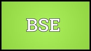 BSE Meaning [upl. by Elson286]