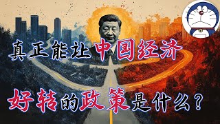 方脸说：真正能让中国经济，好转的政策是什么？解读中国经济的三种可能的政策方向！重回胡温时期丨刺激消费丨电动车丨新质生产力 [upl. by Cathee]