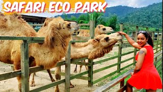 Safari Eco Park Chaguaramas Trinidad  Trinidad Youtuber [upl. by Lytton]