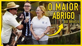 O MAIOR ABRIGO DO BRASIL Sítio Dona Lúcia  Blumenau SC [upl. by Netram153]