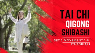 Tai Chi Qigong Shibashi Set 3 Tutorial  Movements 16  Mirrored version with all the details [upl. by Bravin45]