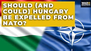 Should and Could Hungary be Expelled From NATO [upl. by Nosraep730]