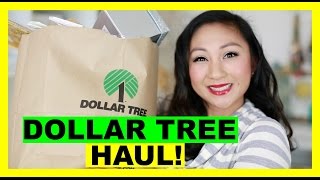 DOLLAR TREE HAUL 8 [upl. by Reine954]