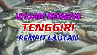 Rempit‼️ Ikan Tenggiri Peneng‼️Trip Barracuda🦈💢 [upl. by Eibrik548]