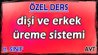 30 Dişi ve Erkek Üreme Sistemi  Özel Ders 11 Sınıf [upl. by Dnomyar]