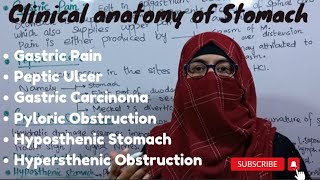 Clinical anatomy of stomach  stomach anatomy  abdomen and pelvis  ayeshamedicaleducation [upl. by Rats]