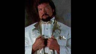 Classic WWF themes Ted Dibiase [upl. by Aihsela95]