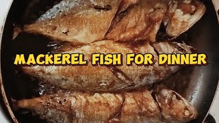 Cooking fried mackerel fish  simple dinner livestream asmr satisfyinh [upl. by Nivram]