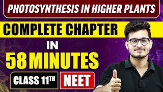 PHOTOSYNTHESIS IN HIGHER PLANTS in 58 Minutes  Full Chapter Revision  Class 11 NEET [upl. by Maribel353]