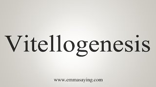 How To Say Vitellogenesis [upl. by Mattland]