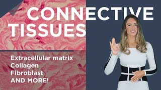 Connective tissue [upl. by Kaiulani]