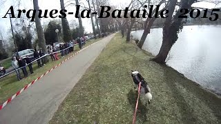 ArqueslaBataille 050415 Go Pro [upl. by Tung238]