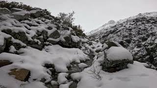 Cabras montesas  Nieve y pura sierra [upl. by Burty]