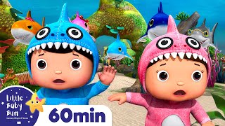 Baby Shark Dance  60 min of LittleBabyBum  Nursery Rhymes for Babies ABCs and 123s [upl. by Ebbarta]