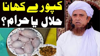 Qurbani ke janwar ki kapooray halal or haram   Mufti Tariq Masood Special  Qurbani ke masail 2022 [upl. by Elleynod]