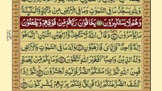 QuranPara1430Urdu Translation [upl. by Read786]