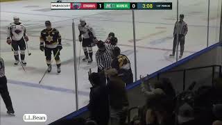 Maine Mariners vs South Carolina Stingrays highlights  111724 [upl. by Odicalp]