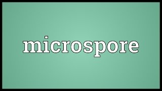 Microspore Meaning [upl. by Brander]