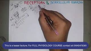 Receptors amp Intracellular Signaling  ENDOCRINE PHYSIOLOGY  বাংলা  Bangla [upl. by Gilead40]