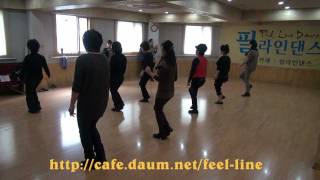 Electric Slide Line Dance [upl. by Dis61]