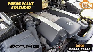 Fixing The Evap Purge Valve Issue On The Mercedes ML 55 AMG [upl. by Niran592]