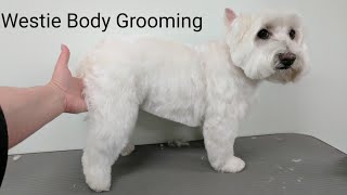 Westie Body Grooming Summer Clip [upl. by Cyrill]