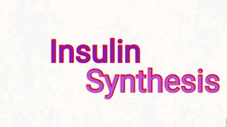 Biosynthesis of insulin  Biochemistry  biochemistry hormones insulin medicalbiochemistry [upl. by Safoelc333]