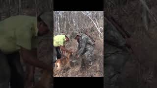 CACERIA DE VENADOS CAZA DE BAQUIROS HUNTIG PECARI CAZA DE JABALIES GUARICO CHAGUARAMAS CACCIA [upl. by Sale]