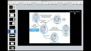 Malposition  Malpresentation 1  OB course  Masterclass Medicine [upl. by Xenos]