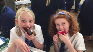 St Andrews Primary Boothstown Year 6 leavers video 2019 [upl. by Garrik]