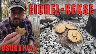 Survival Notnahrung EichelKekse  100 Eicheln aus dem Wald [upl. by Newby355]