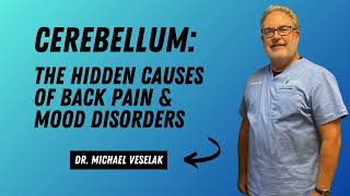 Cerebellum The Hidden Causes of Back Pain amp Mood Disorders [upl. by Jeanna830]