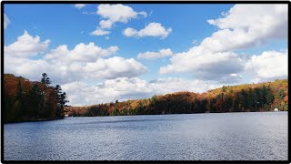 Meech lake drive through  Beech in Chelsea  Fall colours [upl. by Derina]