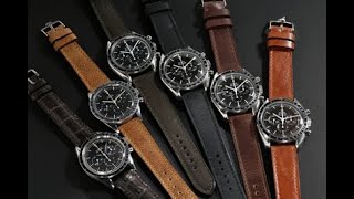 Which Vintage Omega Speedmaster [upl. by Alleynad]