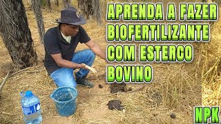 APRENDA A FAZER BIOFERTILIZANTE COM ESTERCO BOVINO [upl. by Jahncke330]