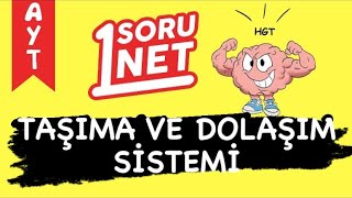 Taşıma Dolaşım ve Bağışıklık Ünite Değerlendirme Testi 2 7soru  AYT Biyoloji [upl. by Arliene]