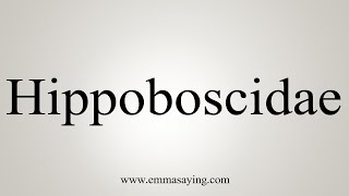 How To Say Hippoboscidae [upl. by Lew]