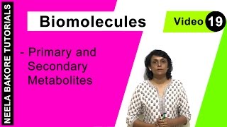 Biomolecules  NEET  Primary and Secondary Metabolites  Neela Bakore Tutorials [upl. by Keenan528]