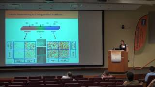 Integrating Mechanical Cues and Biomolecular Patterns for TendonBone Junction Repair [upl. by Manella]