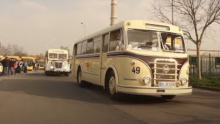 100th Anniversary of Bus History in Dresden  Convoy [upl. by Gresham255]