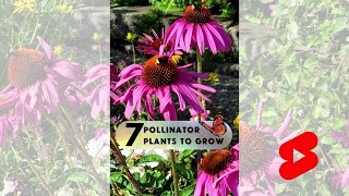 7 Flowers to Plant for Pollinators  Short [upl. by Kcirederf851]