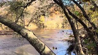 Fall by Meramec river [upl. by Orvah]